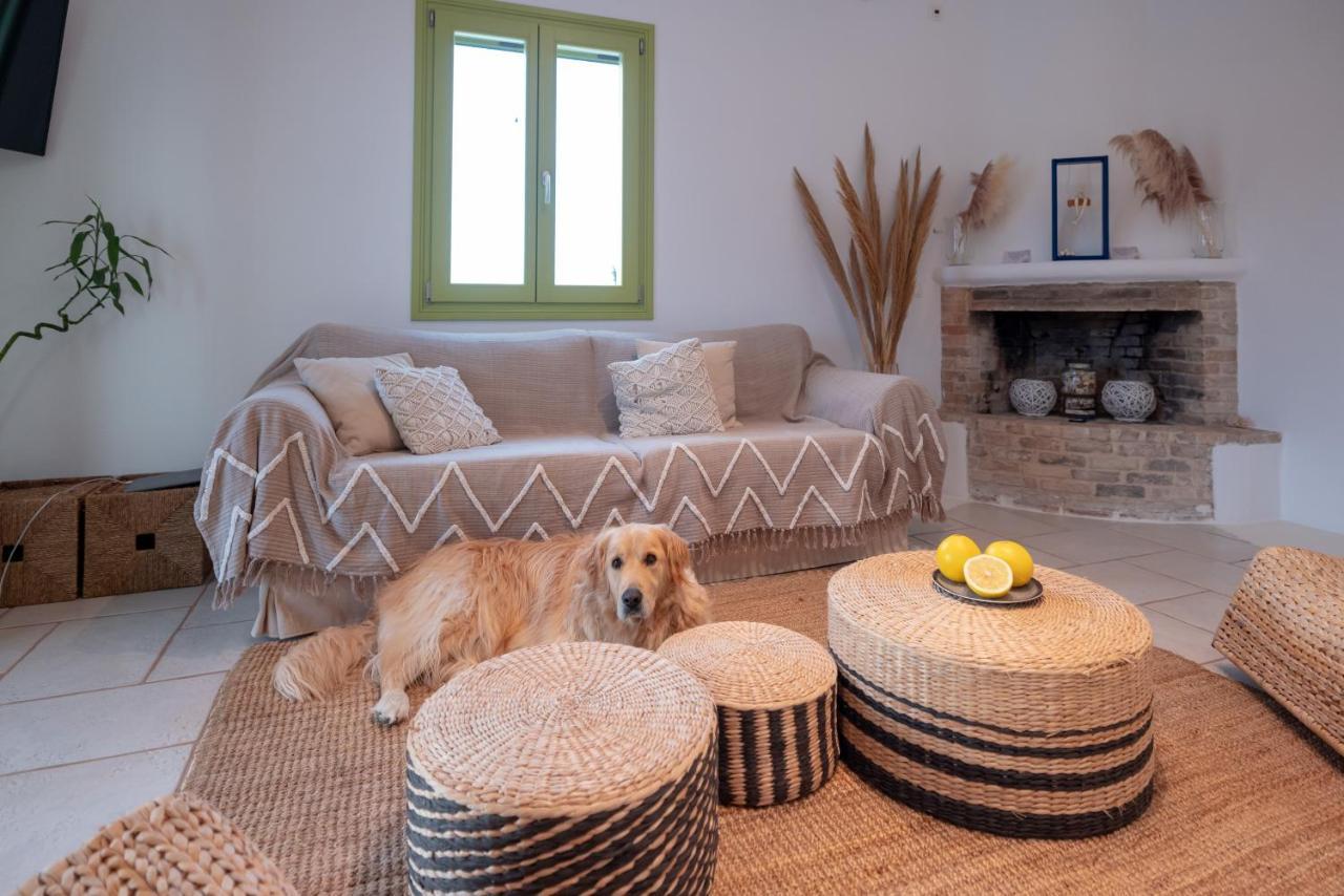 Ventu Paros Villa Marpissa Экстерьер фото