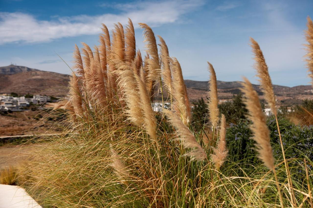 Ventu Paros Villa Marpissa Экстерьер фото